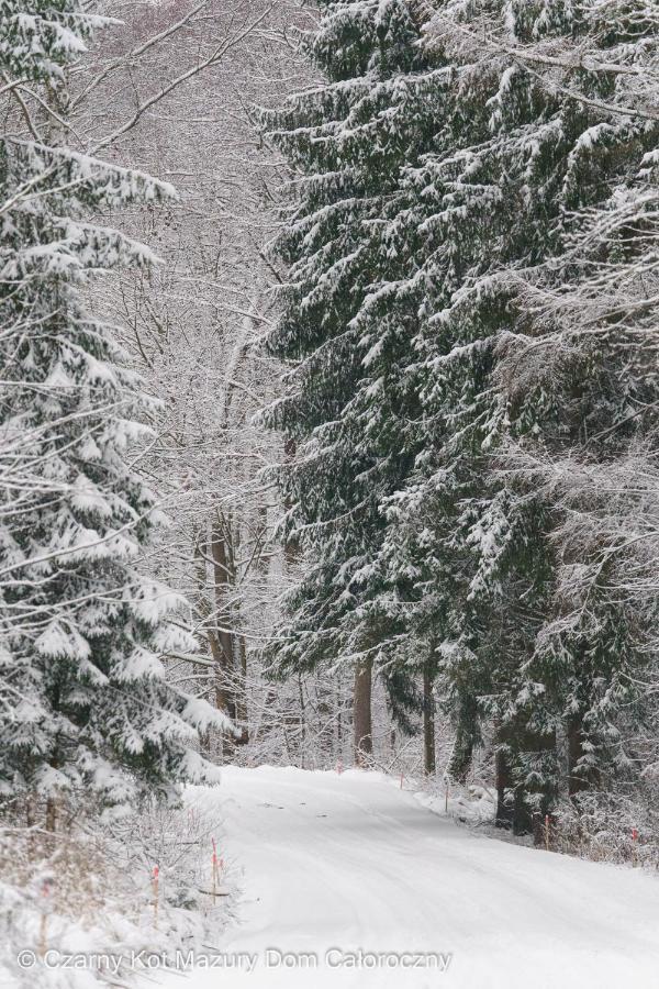Czarny Kot Mazury Dom Caloroczny Villa Malkinie Bagian luar foto